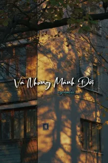 Vá Những Mảnh Đời